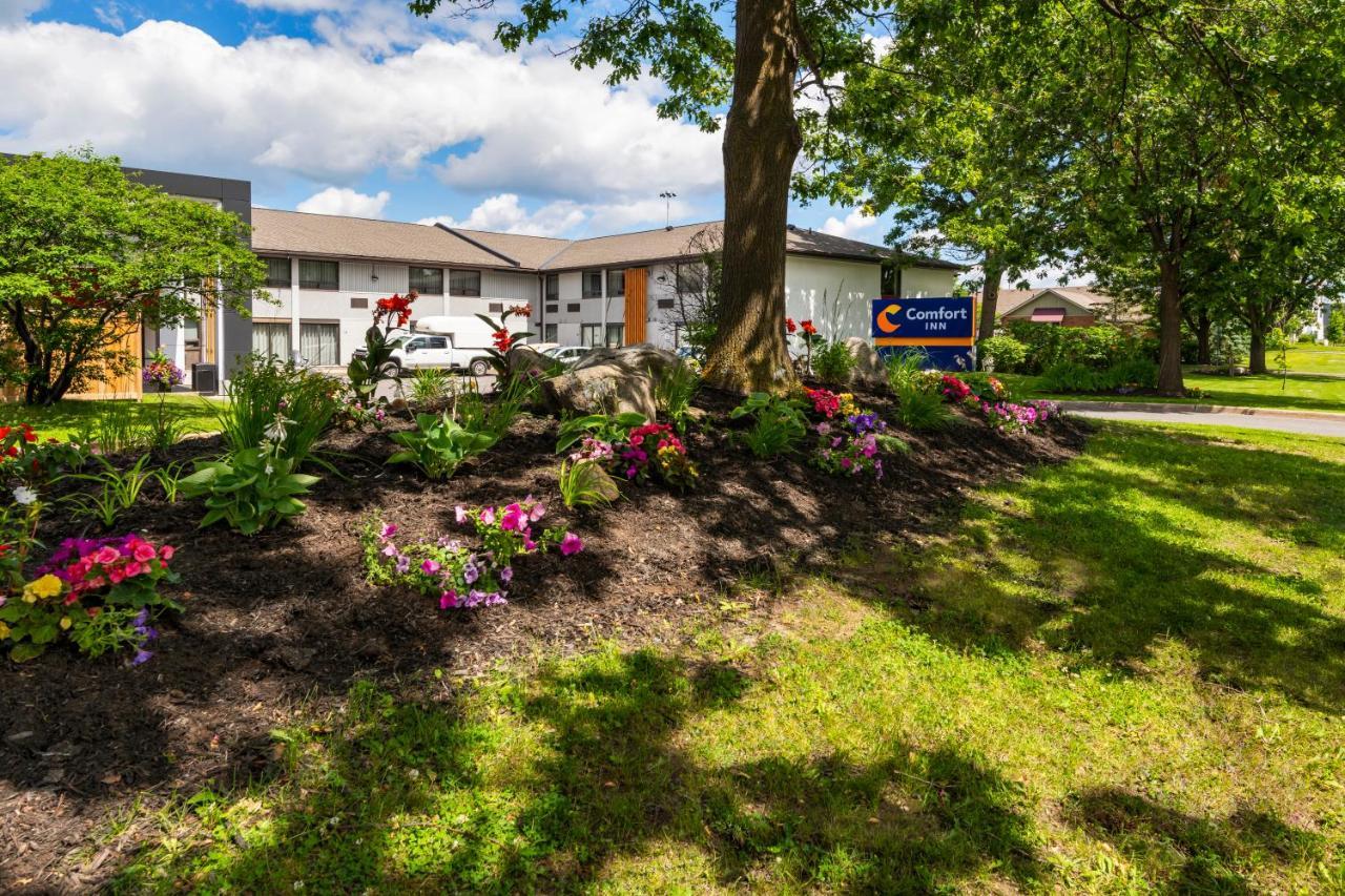 Comfort Inn West Ottawa Exterior photo